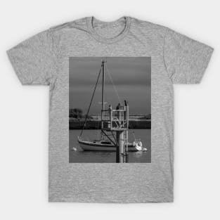 Cormorant On Watch T-Shirt